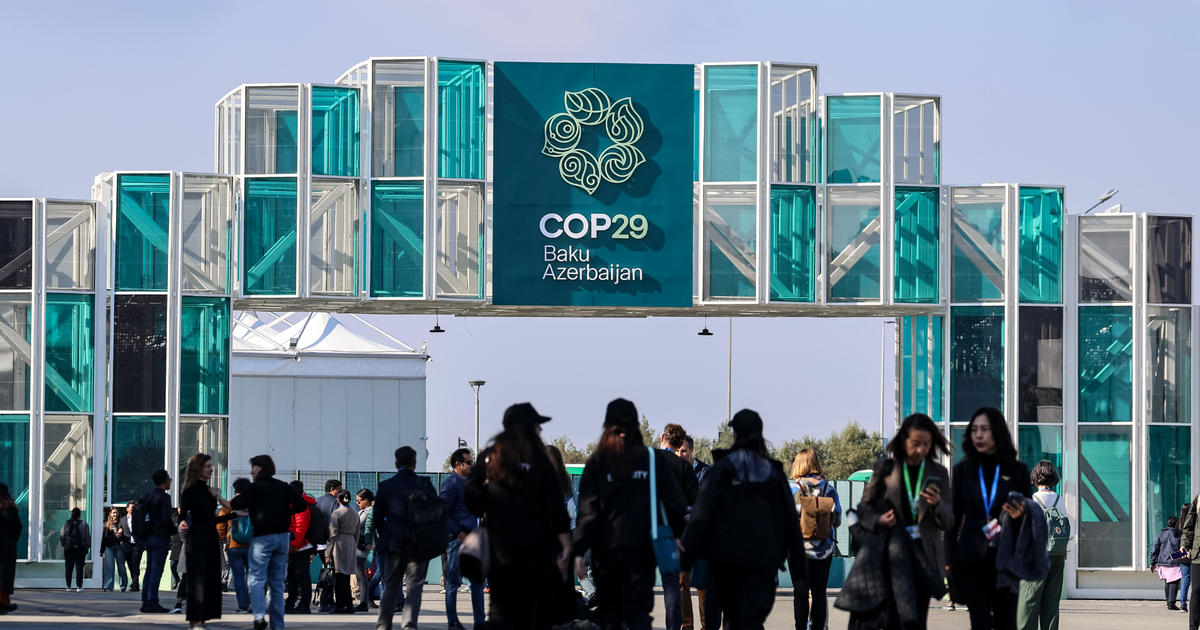 Climate Finance Takes Center Stage at COP29