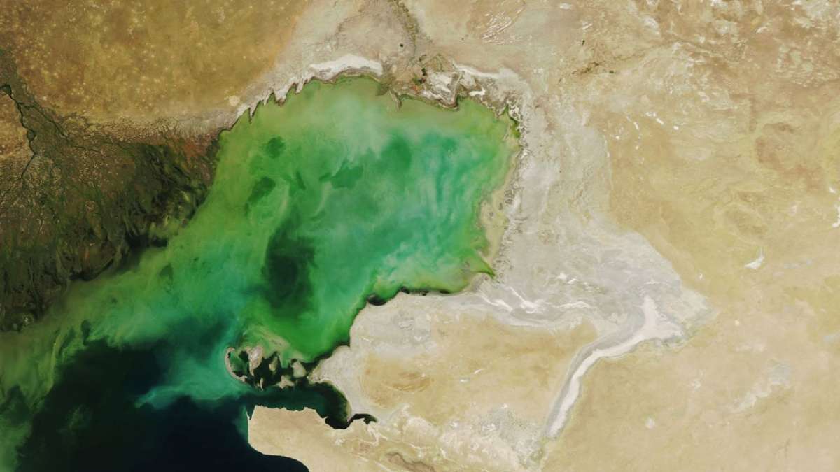 UNEP Chief Urges Urgent Action on Caspian Sea Water Decline