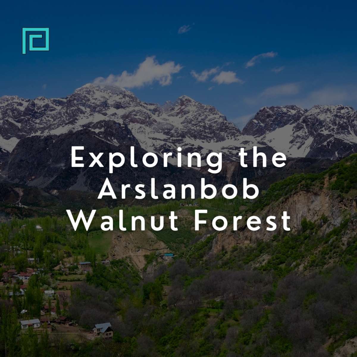 Exploring the Arslanbob Walnut Forest