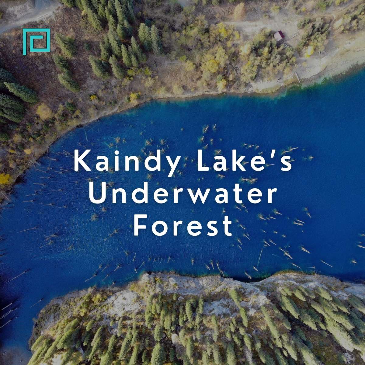 Kaindy Lake’s Underwater Forest