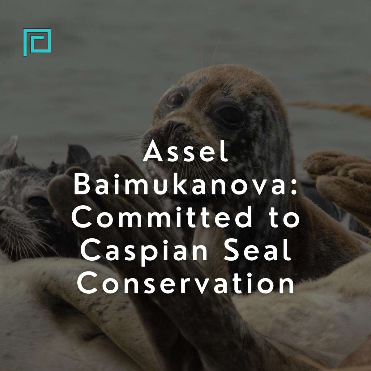 Assel Baimukanova: Committed to Caspian Seal Conservation
